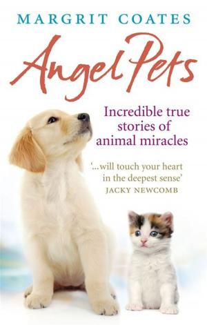 Cover of the book Angel Pets by Wolfgang Mai