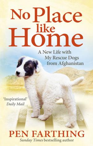 Cover of the book No Place Like Home by Bobbie Thompson