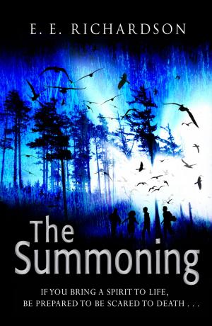 Cover of the book The Summoning by Colin Dann