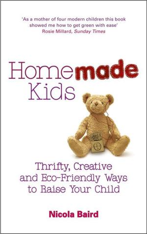 Cover of the book Homemade Kids by Love Productions