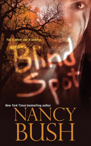 Cover of the book Blind Spot by Lisa Jones Baker