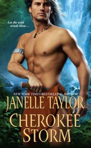 Cover of the book Cherokee Storm by Sherri Browning Erwin