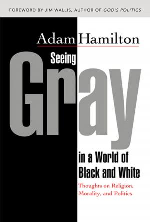 Cover of the book Seeing Gray in a World of Black and White by Vannetta Chapman