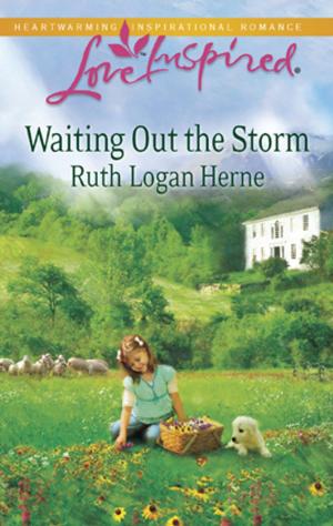 bigCover of the book Waiting Out the Storm by 