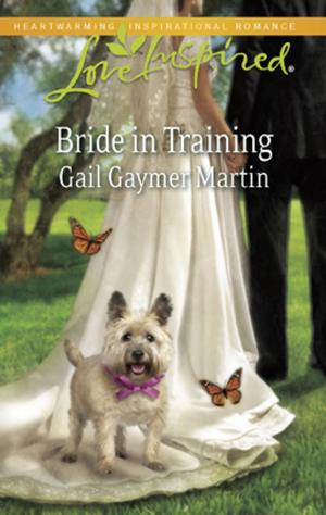 Cover of the book Bride in Training by Brenda Minton
