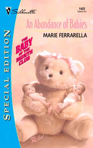 Cover of the book An Abundance of Babies by Pat Warren
