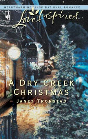Cover of the book A Dry Creek Christmas by Roxanne Rustand