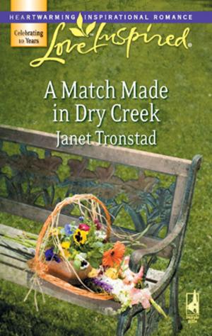 Cover of the book A Match Made in Dry Creek by Jenna Mindel