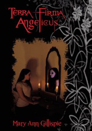 Cover of the book Terra Firma Angelicus by Robert Ours