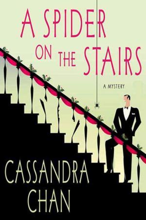 bigCover of the book A Spider on the Stairs by 