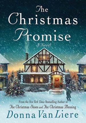 Book cover of The Christmas Promise