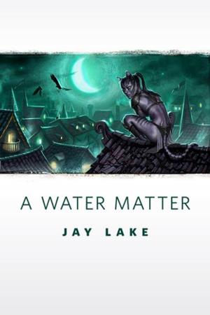 Cover of the book A Water Matter by Sharan Newman