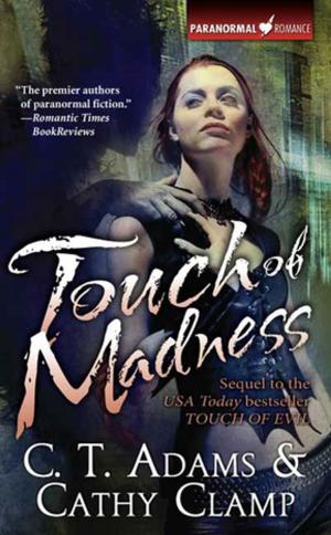 Cover of the book Touch of Madness by Gillian Bradshaw