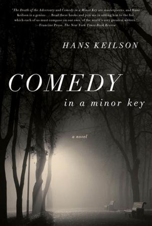 Book cover of Comedy in a Minor Key