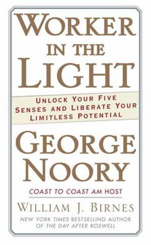 Book cover of Worker in the Light