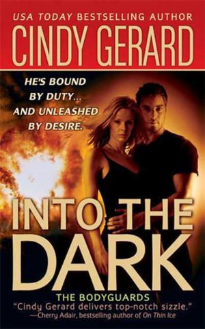 Cover of the book Into the Dark by Cindy Glovinsky