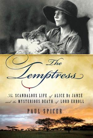 Cover of the book The Temptress by Liz Butler Duren