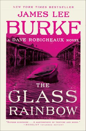 Cover of the book The Glass Rainbow by Larry McMurtry