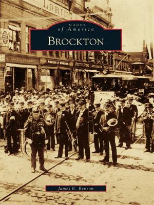 Cover of the book Brockton by Jim Maggiore