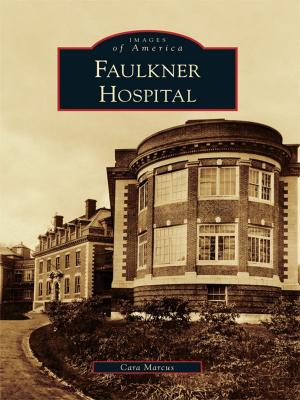 Cover of the book Faulkner Hospital by Donna Strother Deekens, Doug Riddell