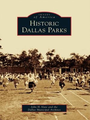 Book cover of Historic Dallas Parks