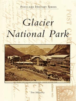 Cover of the book Glacier National Park by Bruce Megowan, Maureen Megowan