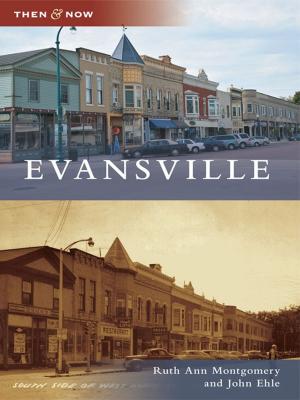 Cover of the book Evansville by Alpheus J. Chewning