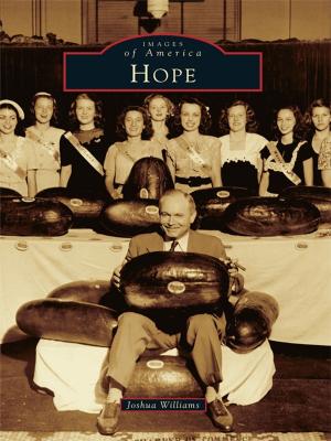 Cover of the book Hope by Margaret M. Kapustiak, Paula K. Everett