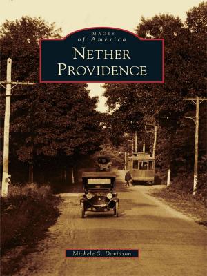 Cover of the book Nether Providence by M.E. Reilly-McGreen