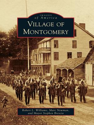 Cover of the book Village of Montgomery by David Finoli