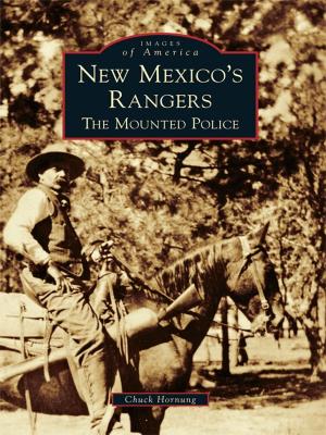 Cover of the book New Mexico's Rangers by Lizzie PRB Jenkins