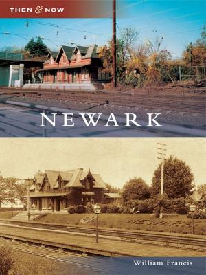 Cover of the book Newark by Kevin D. McCann, Joshua Maxwell