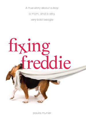 Cover of the book Fixing Freddie by David Jagneaux