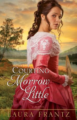 Book cover of Courting Morrow Little