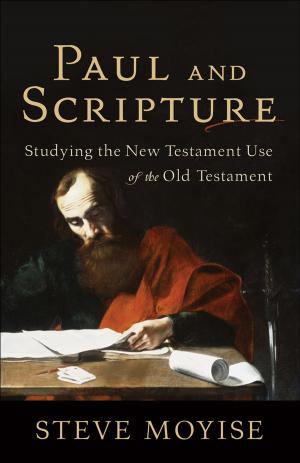 Cover of the book Paul and Scripture by Daniel J. Estes