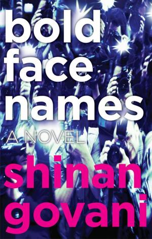 Cover of the book Bold Face Names by Lisa Maxwell