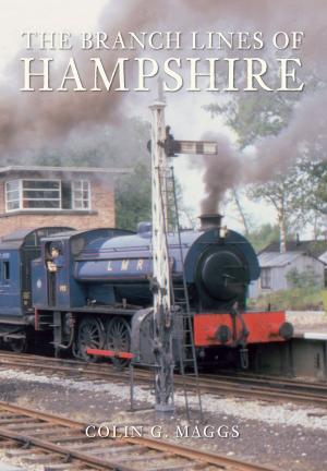Cover of the book The Branch Lines of Hampshire by Jem Duducu