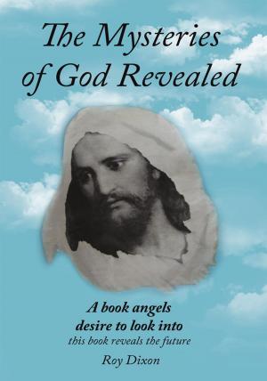 Cover of the book The Mysteries of God Revealed by clement white