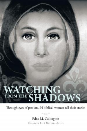 Book cover of Watching from the Shadows