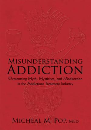 Cover of the book Misunderstanding Addiction by Richard G. Soutar Ph.D.