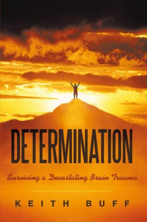 Cover of the book Determination by Al Morris