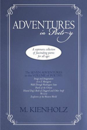 Cover of the book Adventures in Poetry by Sonny Gratzer