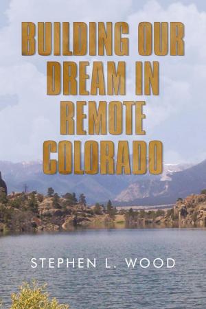 Cover of the book Building Our Dream in Remote Colorado by Matteo Musso