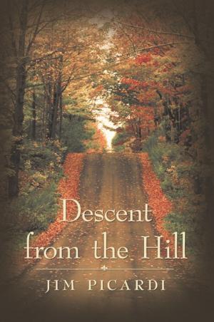 bigCover of the book Descent from the Hill by 