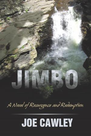 Cover of the book Jimbo by Stephen James Poppoon