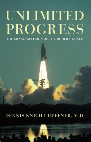 Cover of the book Unlimited Progress by Steven WinterHawk