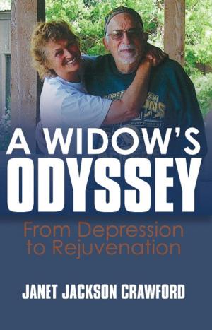 Book cover of A Widow's Odyssey