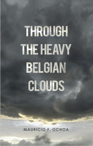 Cover of the book Through the Heavy Belgian Clouds by Sandra Hocking