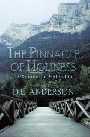 Cover of the book The Pinnacle of Holiness by Antony W. Khaemba