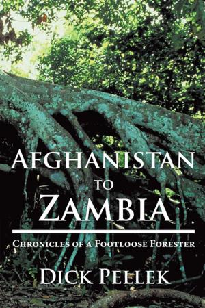 bigCover of the book Afghanistan to Zambia: Chronicles of a Footloose Forester by 